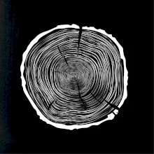 Letokruhy 80 bez veku