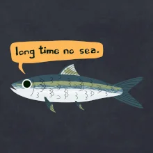 Long time no sea