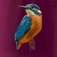 Ľadnáčik kreslený Ľadnáčik kreslený