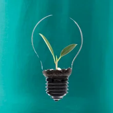 Žiarovka kvetináč