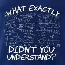 What exactly didn't you understand - physics