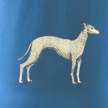 Vintage Whippet