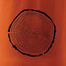 Letokruhy 45 bez veku