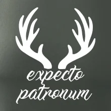 Harry - Expecto patronum Harry - Expecto patronum