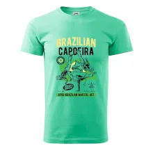 Brazilian Capoeira Brazilian Capoeira