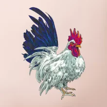 Kohút kreslený biely