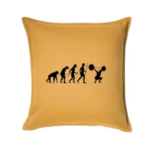 Evolution fitness Evolution fitness