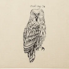 Sova bradatá Barred owl