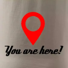 You are here