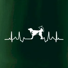 Český strakatý pes EKG
