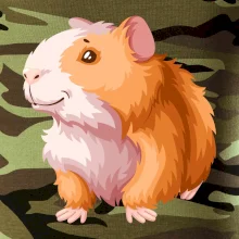 Morča - kreslené, bielo oranžové