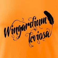 Harry - Wingardium Leviosa Harry - Wingardium Leviosa