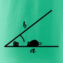 Matematická myš Matematická myš