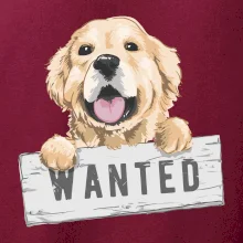 Zlatý retriever - šteniatko wanted