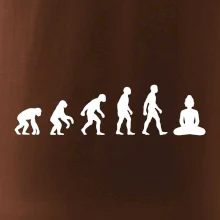 Evoluce budha