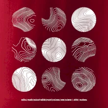 Vrstevnice najvyšších Českých hôr