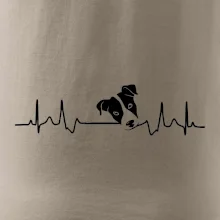 Jack Russell Terriér Ekg Jack Russell Terriér Ekg