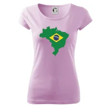 Brazília vlajka v mape