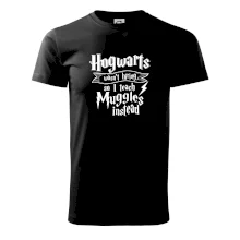 Harry - Hogwarts wasn’t hiring, so I teach Muggles instead Harry - Hogwarts wasn’t hiring, so I teach Muggles instead