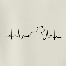 Stafordšírsky bulteriér ‎ EKG