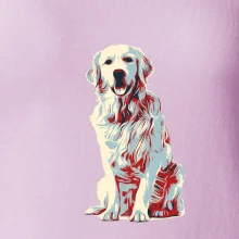 Zlatý retriever vintage