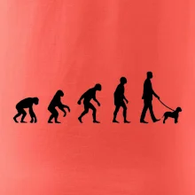 Lagotto romagnolo Evolúcia