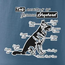 Nemecký ovčiak - Anatómia Nemecký ovčiak - Anatómia