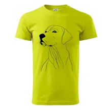 Labrador čierna kresba