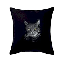 Zadumaná mačka Zadumaná mačka