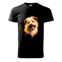 Obrázok poltón Briard