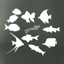 Potápač ryby štvorec