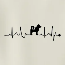 Shiba-Inu EKG