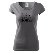 I have a horse I have a horse