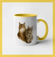 Mačky vectorizované (Moňas)