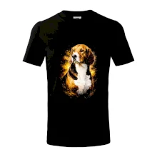 Obrázok poltón Bígl