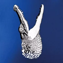 Krokodíl kreslený  (Pecka design)