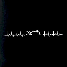 Moto EKG Moto EKG
