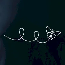 Dráha letu motýľa - slučka