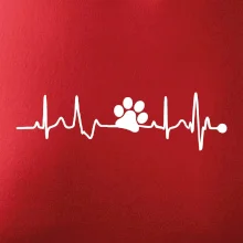 Ekg psia labka Ekg psia labka