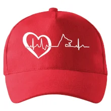 Nemecký ovčiak ekg