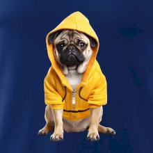 Mops v mikine Mops v mikine