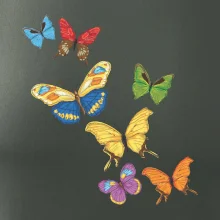 Farebné motýle Farebné motýle