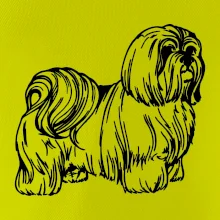 Shih-tzu - chlpatý