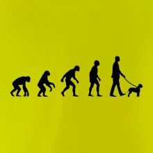 Lagotto romagnolo Evolúcia