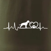 Nemecký boxer EKG Nemecký boxer EKG