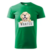Zlatý retriever - šteniatko wanted