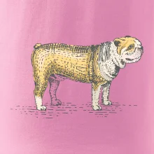 Vintage bulldog