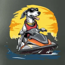 Chrt na vodnom skútri