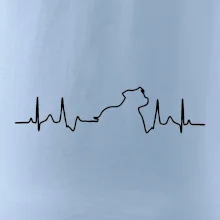 Stafordšírsky bulteriér ‎ EKG