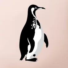 Tučniak čiernobiely z boku